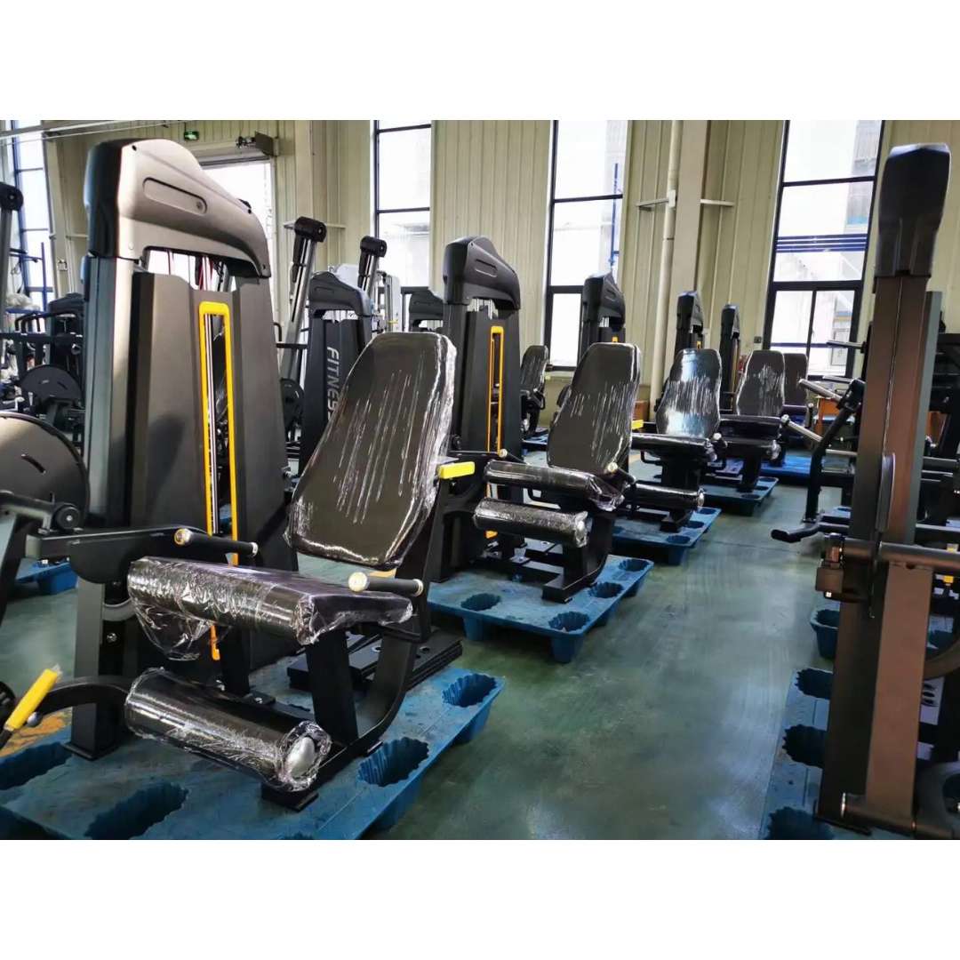 Commercial Gym Leg Extension & Leg Curl Machine