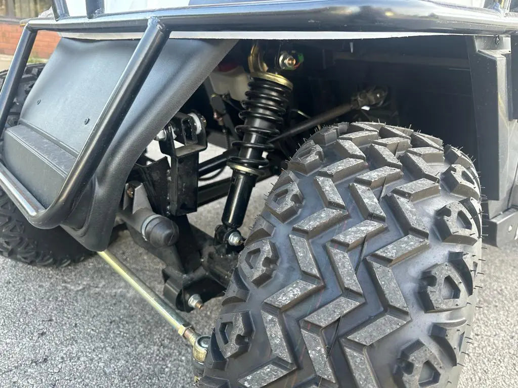 Electric Golf Cart Off-Road 2 Seaters