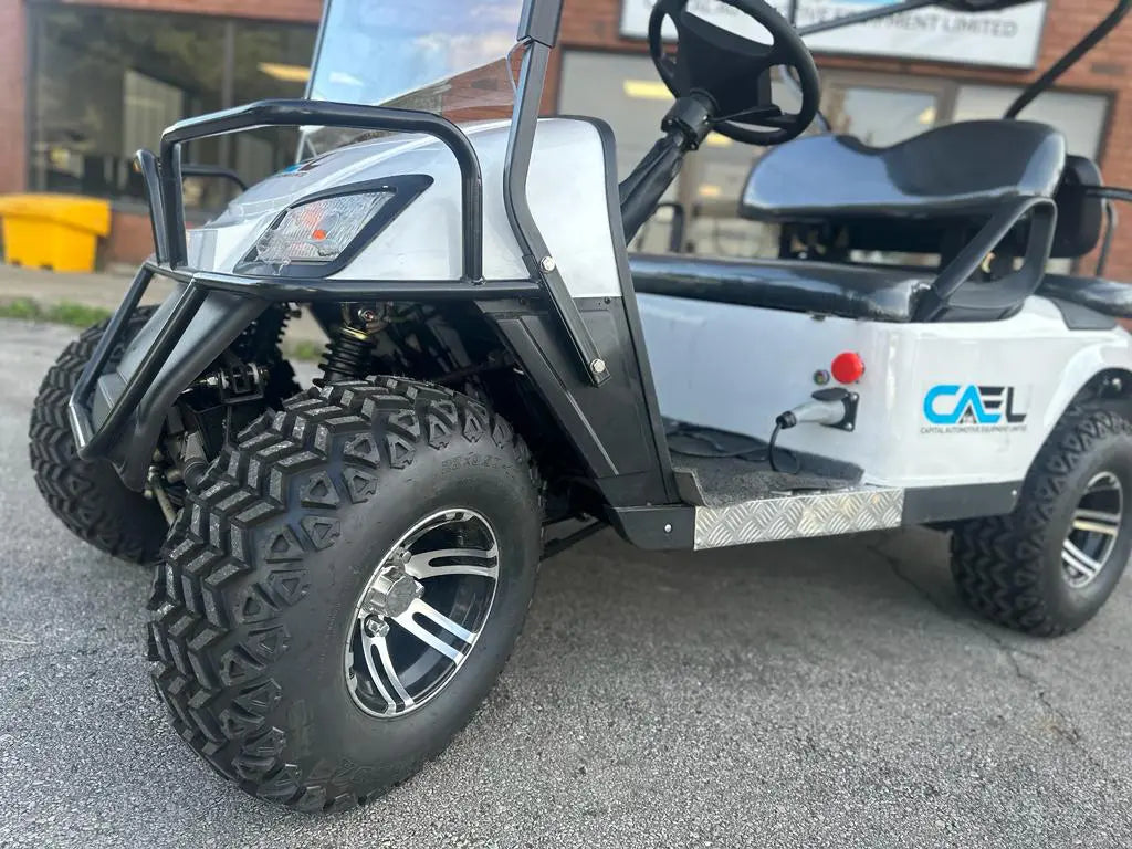 Electric Golf Cart Off-Road 2 Seaters