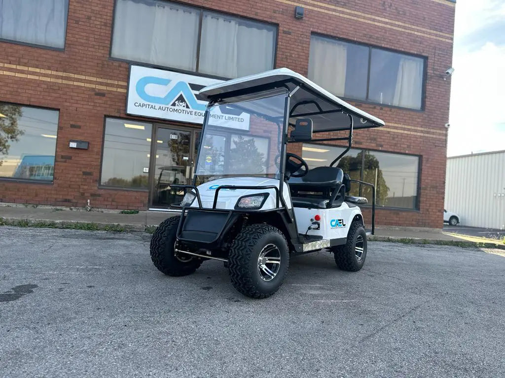 Electric Golf Cart Off-Road 2 Seaters