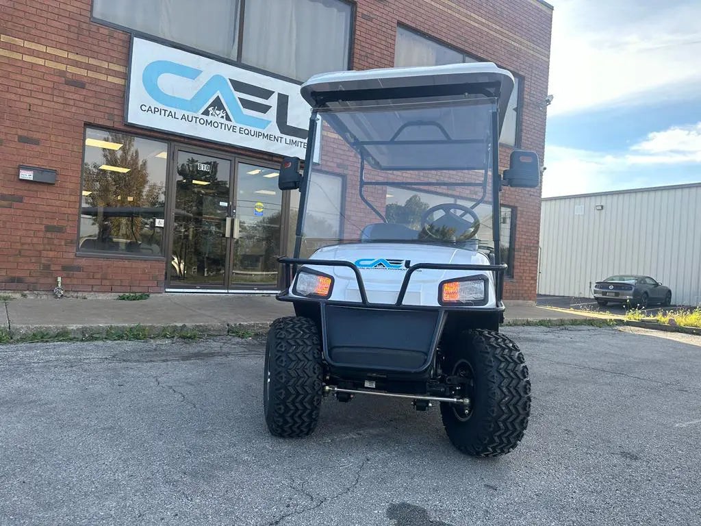 Electric Golf Cart Off-Road 2 Seaters