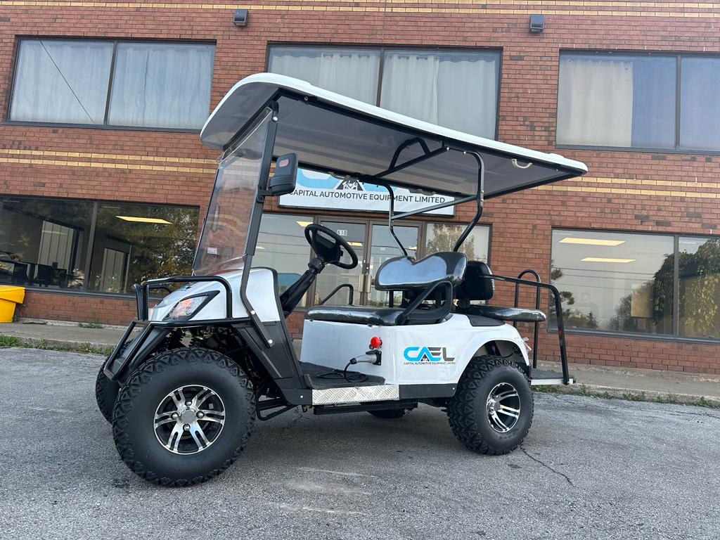 Electric Golf Cart Off-Road 4 Seaters