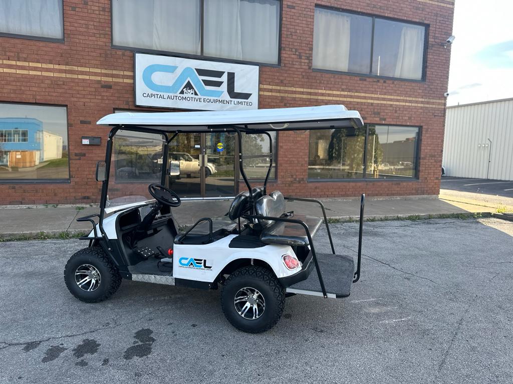 Electric Golf Cart Off-Road 4 Seaters