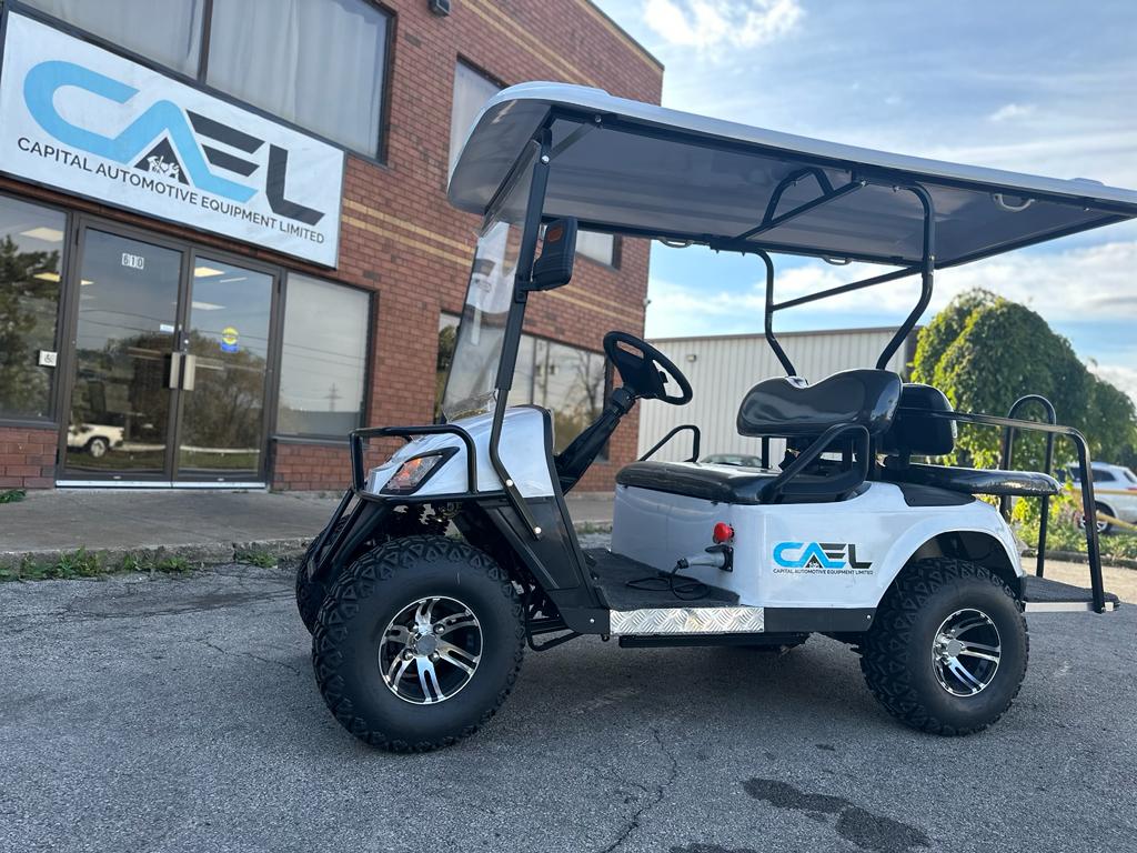 Electric Golf Cart Off-Road 4 Seaters