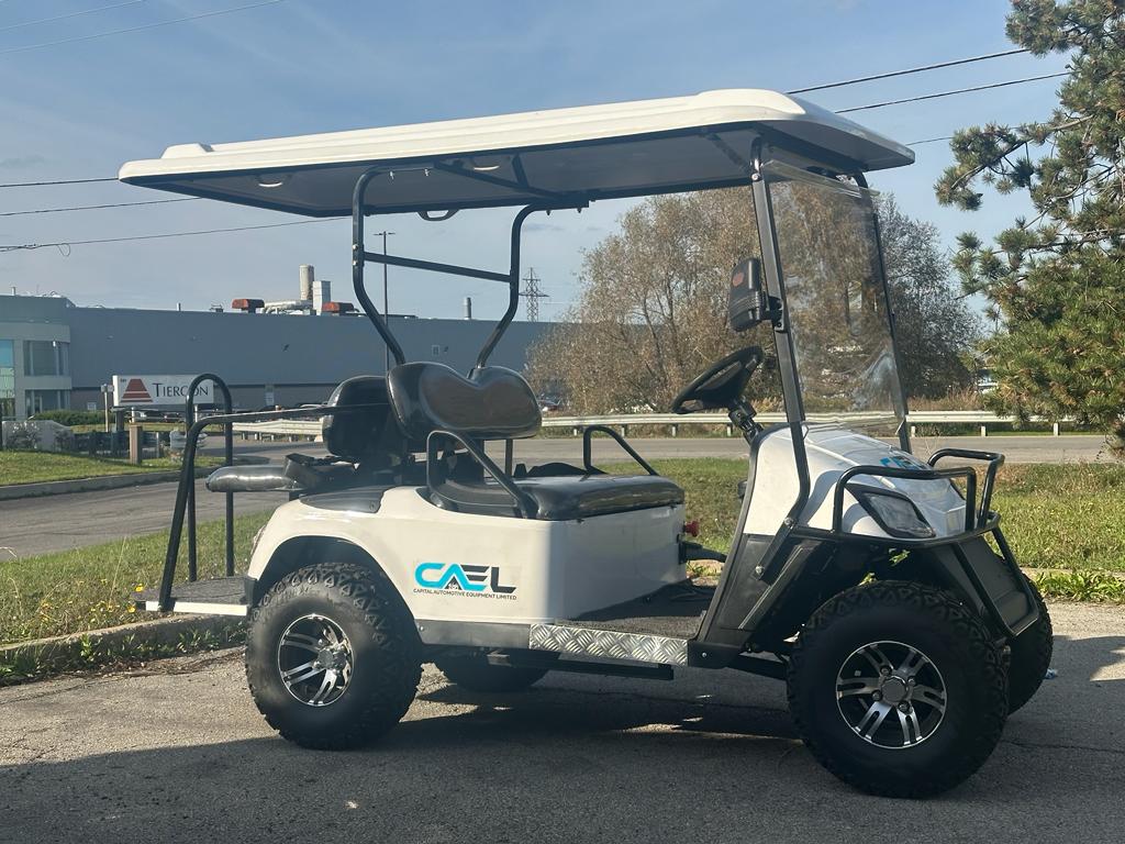 Electric Golf Cart Off-Road 4 Seaters
