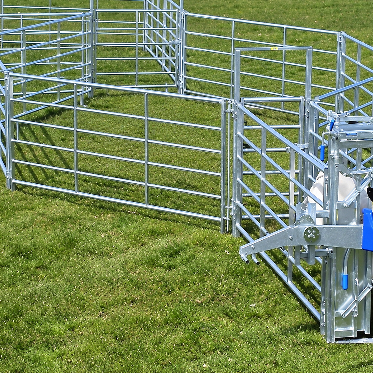 CAEL Corral Panel
