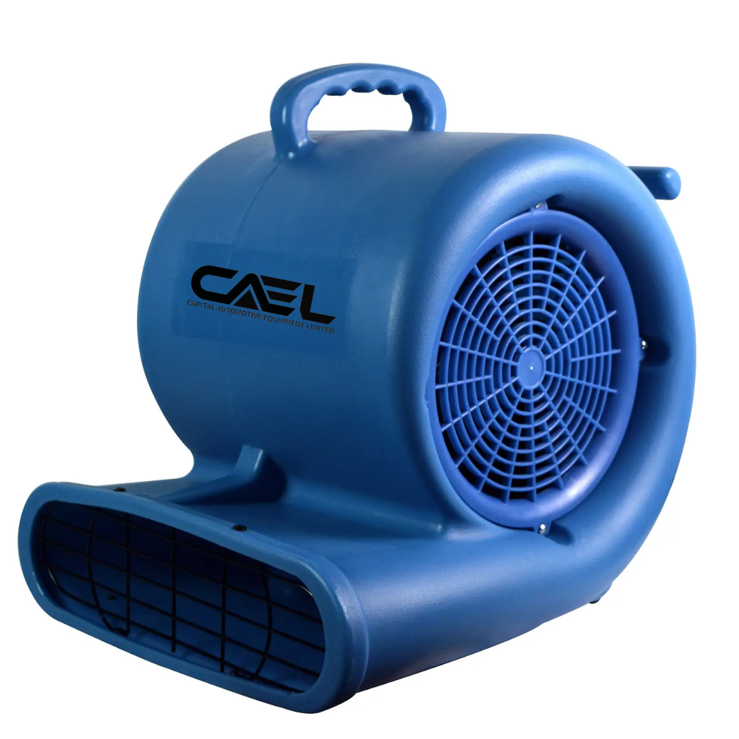 CAEL 12 Bundle Deal