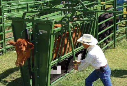 CAEL Cattle Squeeze Chute Manual Headgate