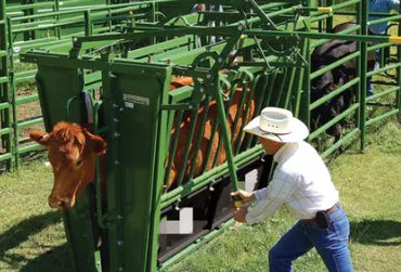 Porte de contention manuelle pour cage de contention pour bovins CAEL