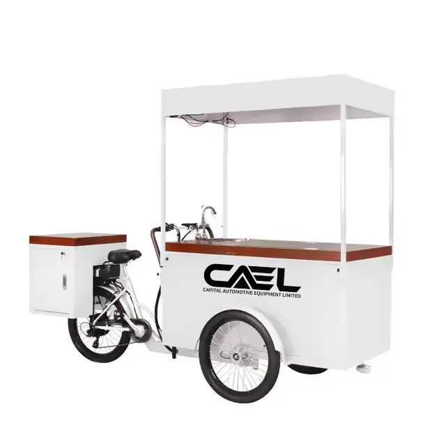 CAEL’s Electric ice cream bike