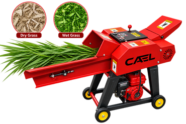 CAEL 9ZT-019E Chaff Cutter with Conveyor