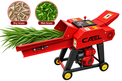 CAEL 9ZT-019E Chaff Cutter with Conveyor