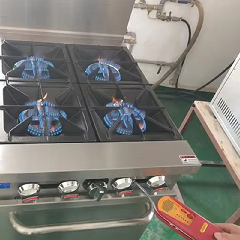 CAEL Gas Burners with Oven RGR60