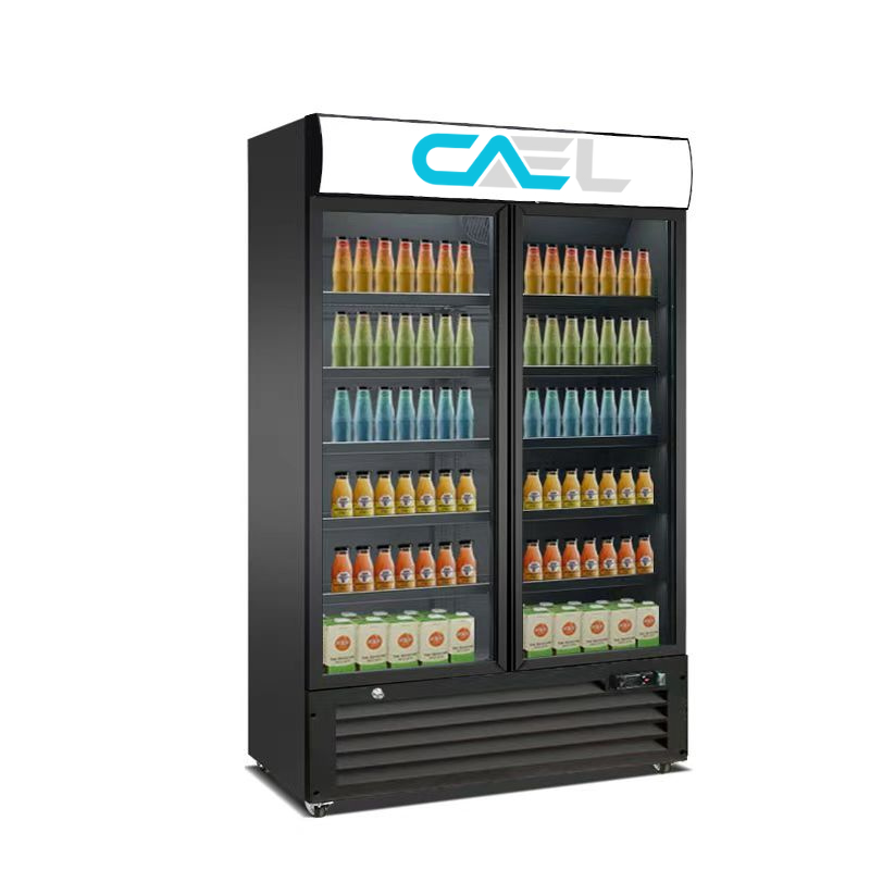 CAEL KXG-1330S Double Door Cooler