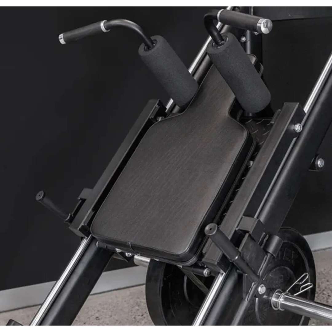 CAEL-SQM – Commercial Grade Dual Function Hack Squat & 45° Leg Press Machine