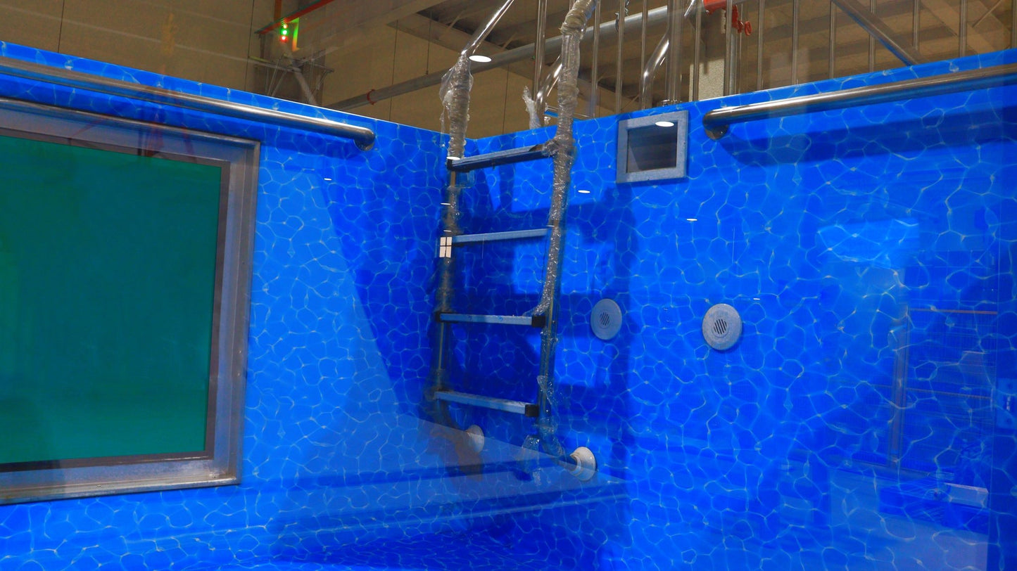 Cael 20 FT & 40 FT Shipping Container Swimming Pools – USA Standard Luxury Pools
