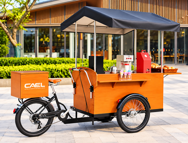 Bicicleta eléctrica de café de CAEL
