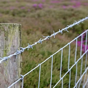 Farm Fence, Property Protection, Livestock Control, 47" Height, 100 Meters Per Roll, 12.5 GA Wire, 6" Vertical Wire Distance, CAEL-FMF100