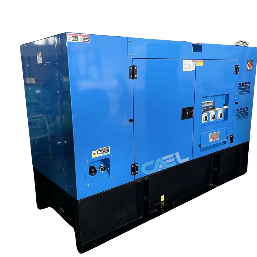 20KW Generator Power with Diesel (Perkins) Engine – Capital Automotive ...