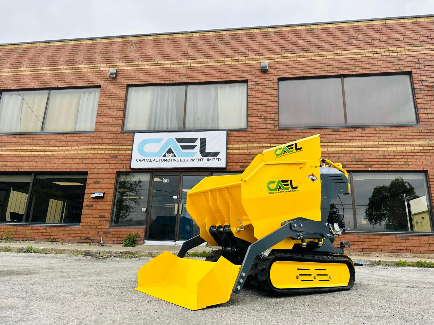 Mini Dumper Briggs & Stratton Engine