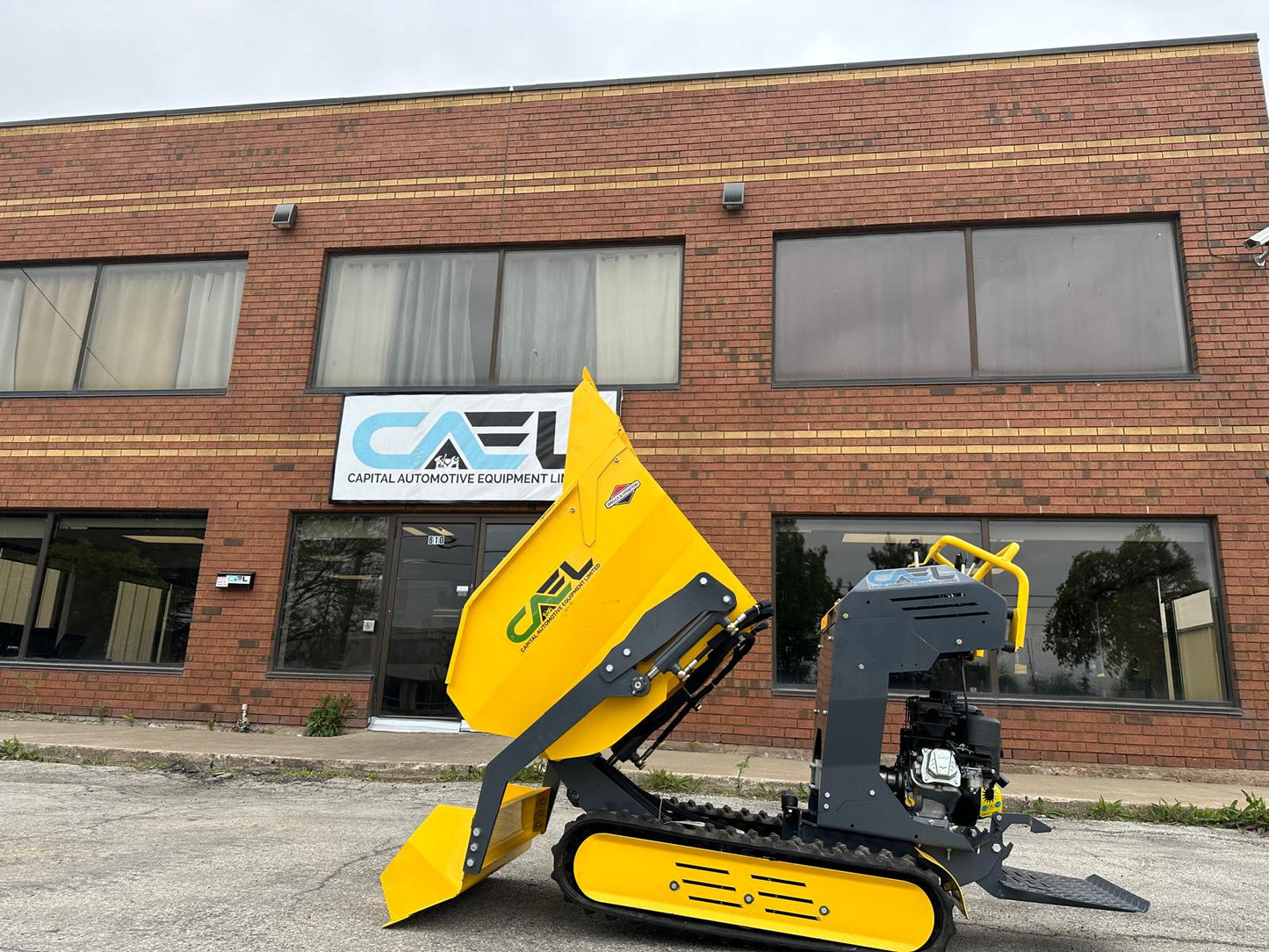 Mini Dumper Briggs & Stratton Engine