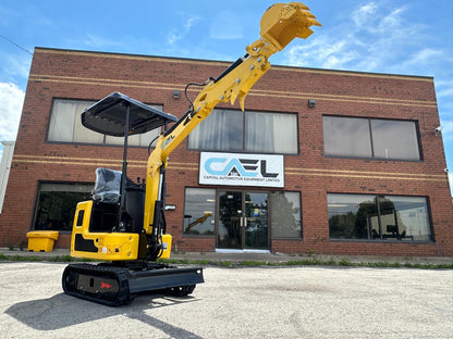Mini Excavator 1T with Briggs & Stratton engine (EX1BS-New)