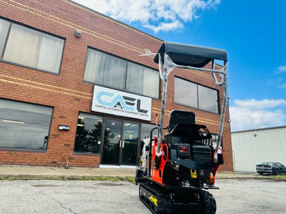 Mini Excavator 0.8T with Briggs & Stratton engine (EX08BS1)