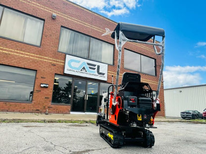 Mini Excavator 0.8T with Briggs & Stratton engine (EX08BS1)