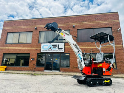 Mini Excavator 0.8T with Briggs & Stratton engine (EX08BS1)