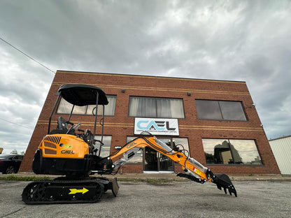Mini Excavator 1.5T With B&S Engine, Swing boom, Hydraulic Thumb (EX15BS-AD)