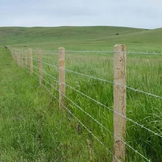Farm Fence, Property Protection, Livestock Control, 47" Height, 100 Meters Per Roll, 12.5 GA Wire, 6" Vertical Wire Distance, CAEL-FMF100