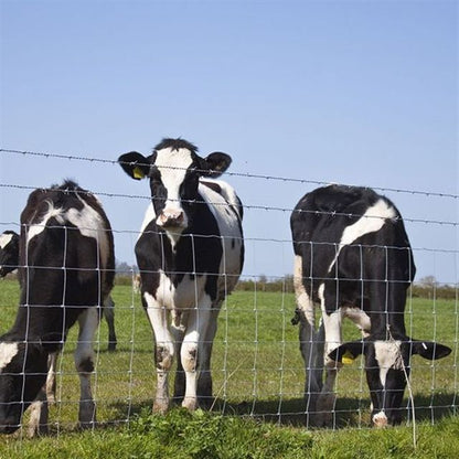 Farm Fence, Property Protection, Livestock Control, 47" Height, 100 Meters Per Roll, 12.5 GA Wire, 6" Vertical Wire Distance, CAEL-FMF100