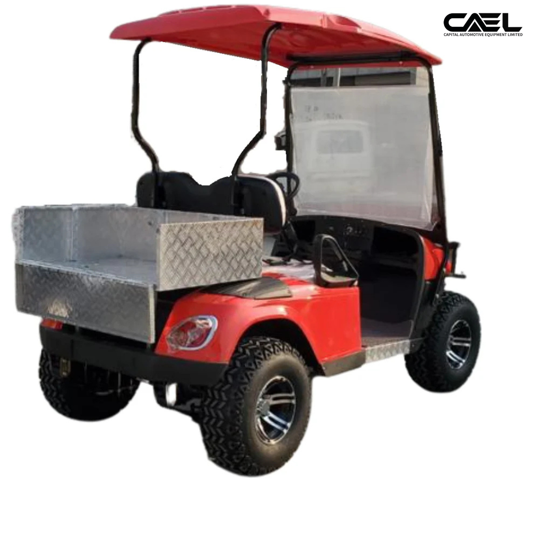 Carrito de golf eléctrico todoterreno de 2 plazas